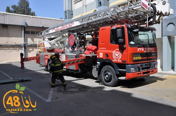 tamren asaf harof3e (5).jpg